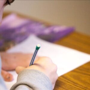 aol sinav sonuclari ne zaman aciklanacak meb takvimi ve aol 3 donem sonuc sorgulama ekrani XtCniv4K