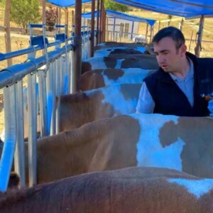 bayburtta sap hastaligina karsi asilama kampanyasi gXcRhfau