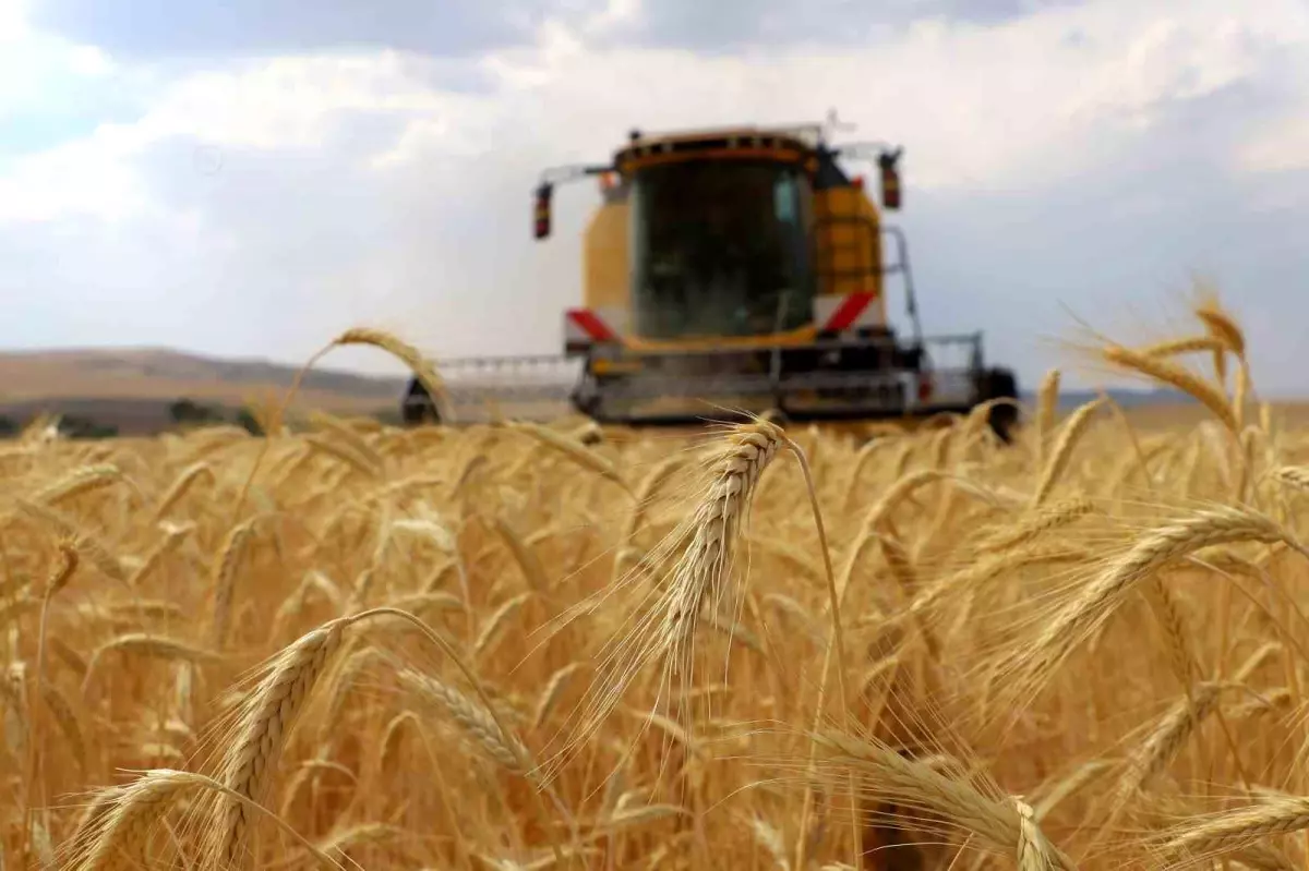 cks basvurulari 1 eylulde basliyor gyAn6des