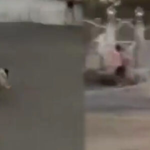 erol kosenin kizi dijandan pes dedirten paylasim kucuk kiz korkusundan denize atladi EDROCGHB