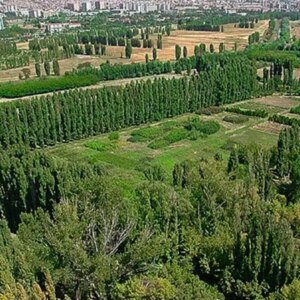 eski bakan kocanin medipolune tahsis edilen arazinin altindan kenan evren cikti uvy86AcC