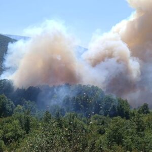 kocaelide orman yangini alevler yerlesim yerlerine yaklasti EnMDVCtb