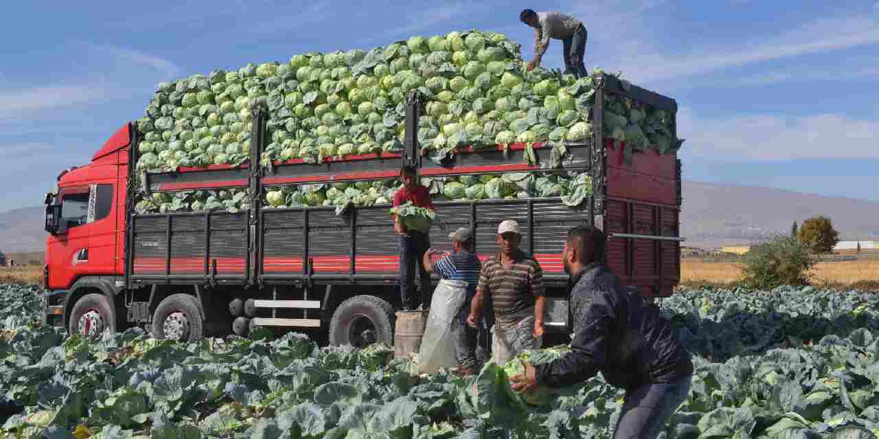 nigdede hasadi basladi kilosu 10 liradan kapis kapis satiliyor 9zxNYMTa
