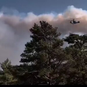 silifkede orman yangini 2 gunde kontrol altina alinmaya calisiliyor F2Jfytsj