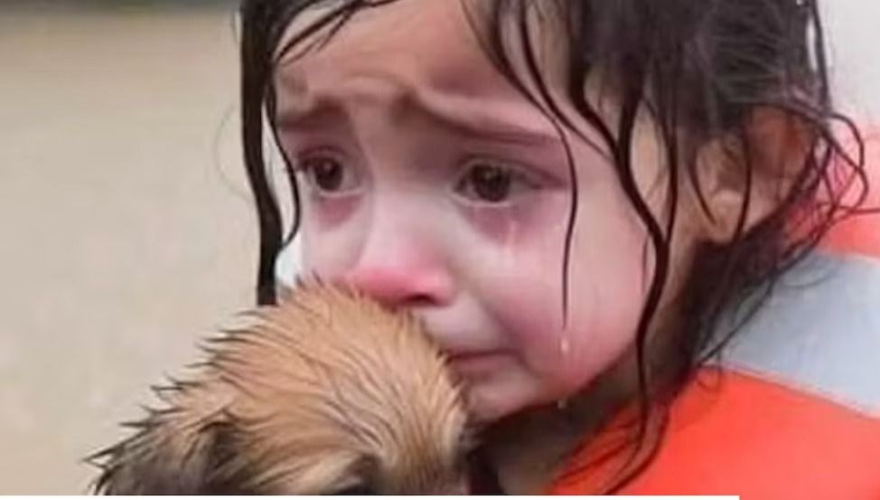 interneti dolduran yeni tehlike ai slop nedir iKvrGCFD