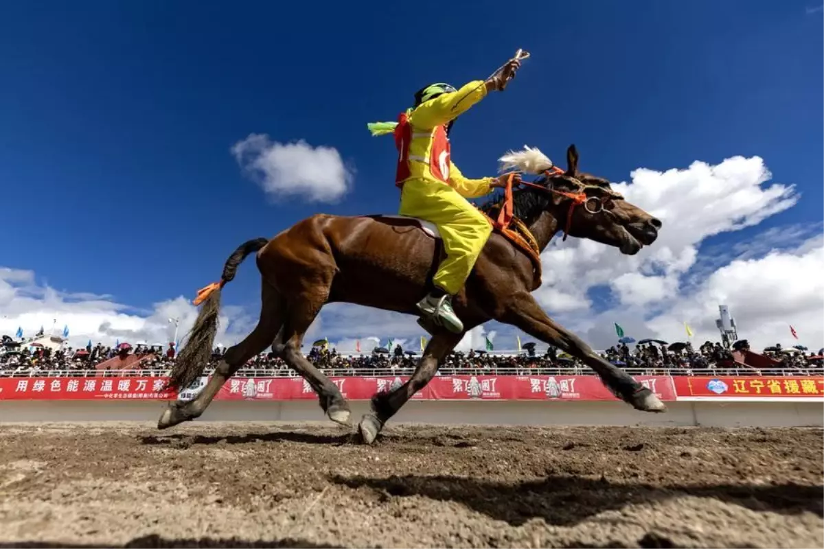 tibette at yarisi festivali basladi PB6NzNym