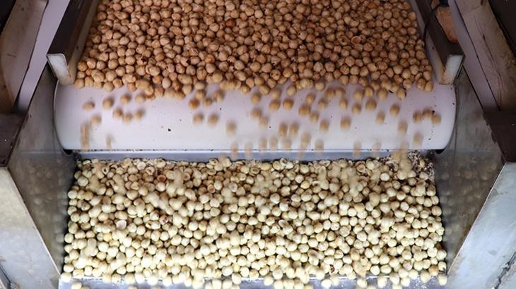 findik ihracatindan 16 milyar dolari askin gelir saglandi OkqeBXch.jpg