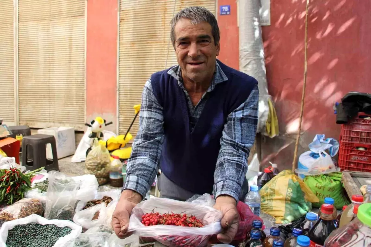 kizilcik mevsimi basladi YhYF88Qy.jpg