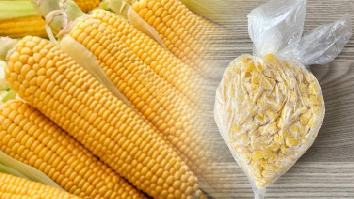 misiri catalla siyir hasla dondurucuya at 12 ay tazecik kaliyor QwGDtSHN.jpg