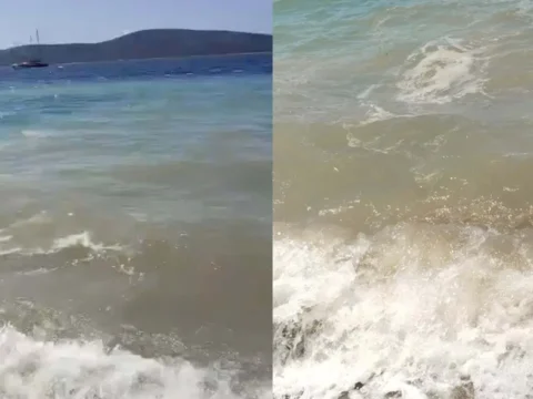 Bodrumda deniz kirliligi sorusturma baslatildi NIGNAvEk