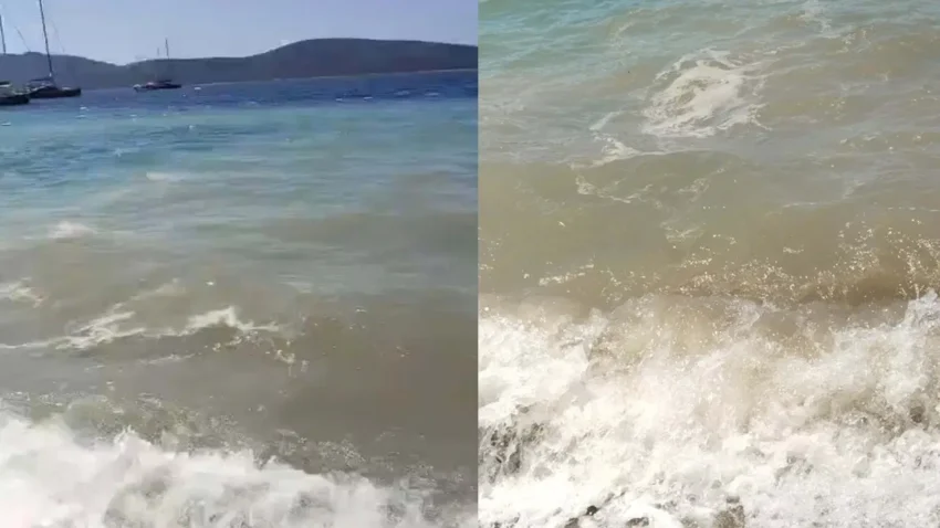 Bodrumda deniz kirliligi sorusturma baslatildi NIGNAvEk