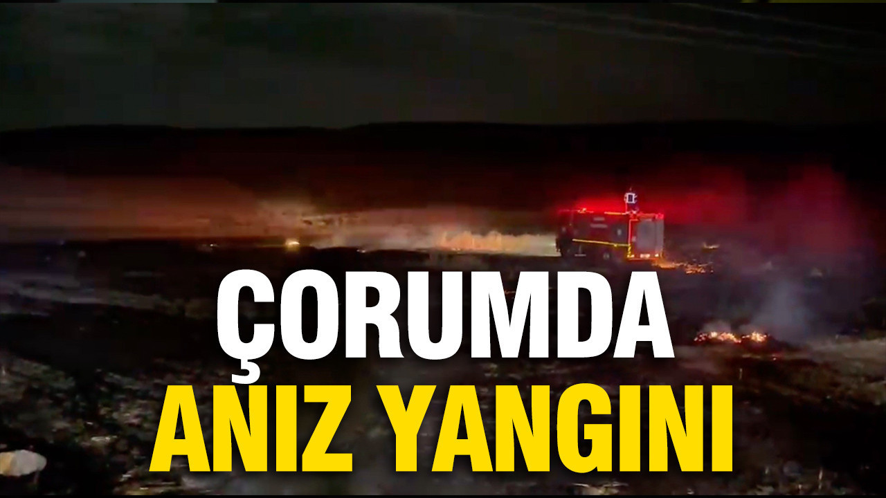 Corumda aniz yangini buyumeden sonduruldu IMaTpNqN