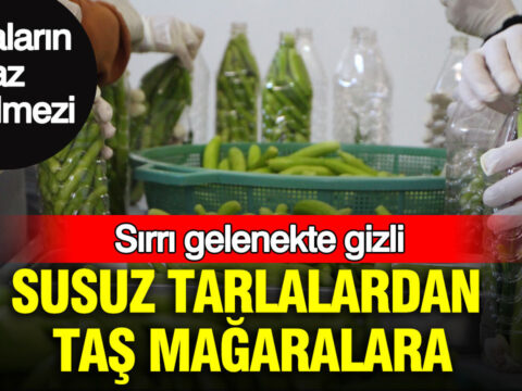 Susuz tarlalardan tas magaralara sirri gelenekte gizli uretim icin kollari sivadilar Gyxj9wFw